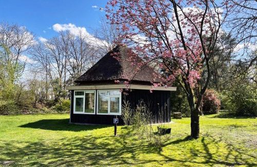 Valthe Casa | Eco Lodge Drenthe