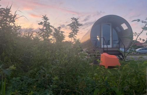 Wanneperveen Casa | Eco-lodge nabij Giethoorn