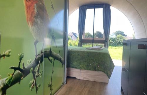Wanneperveen Casa | Eco-lodge nabij Giethoorn