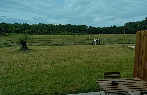 Vendays-Montalivet Apartamento | eco nature, gite à la ferme