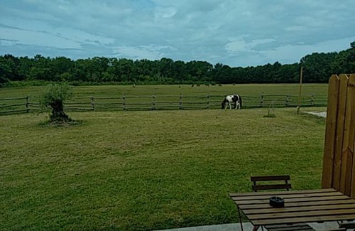 Vendays-Montalivet Casa | eco nature, gite à la ferme
