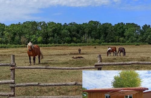 Vendays-Montalivet Casa | eco nature, gite à la ferme