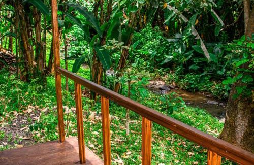 Monte Cafe Cabina | ECO-POR