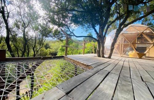 San Jose De Los Llanos Complejo | Eco-Resort Domo Maestra