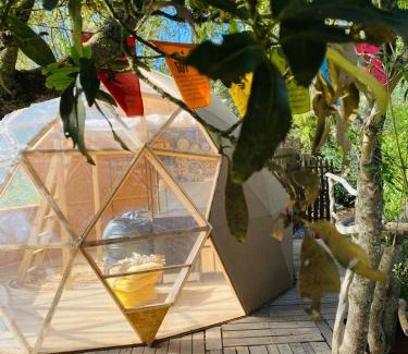 San Jose De Los Llanos Complejo | Eco-Resort Domo Maestra