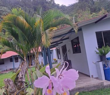 Vergara Casa | Eco Retiro La Paz