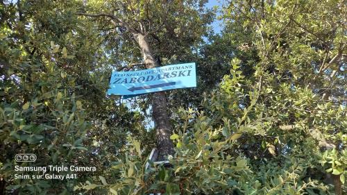 Cunski Apartamento | Eco Secluded apartments Zabodarski