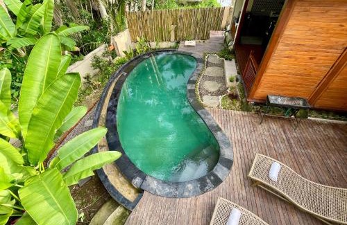 Melayang Villa | Eco Tini Villas Rice Fields and Jungle View