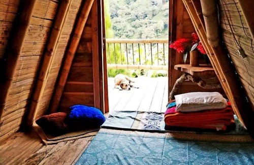 Pijao Casa | Ecocabaña En La Naturaleza Para Desconectarse. Armenia Quindío