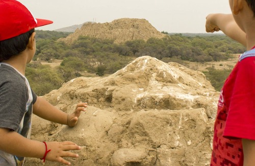 Íllimo Cabina | Ecolodge Huaca de Piedra