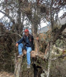 Ollantaytambo Otro | EcoLodge Mayu Camping