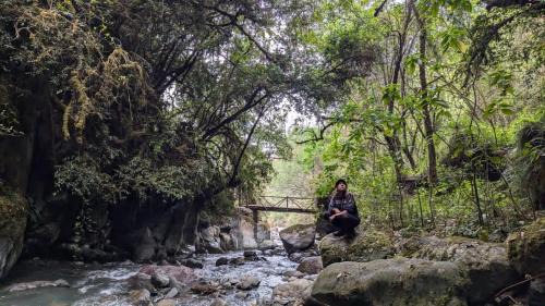 Ollantaytambo Otro | EcoLodge Mayu Camping