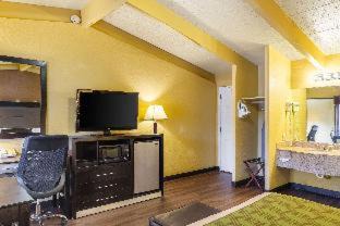 Chinchilla Cabina | Econo Lodge Clarks Summit - Scranton