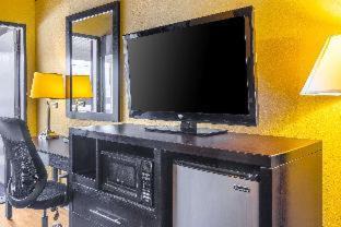 Chinchilla Cabina | Econo Lodge Clarks Summit - Scranton