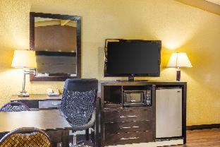 Chinchilla Cabina | Econo Lodge Clarks Summit - Scranton