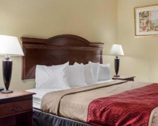 Greenville Cabina | Econo Lodge Greenville