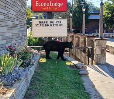 Gatlinburg Hotel | Econo Lodge Inn & Suites on the River