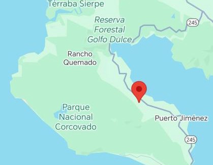 Puerto Jiménez Apartamento | EcOsaLodge