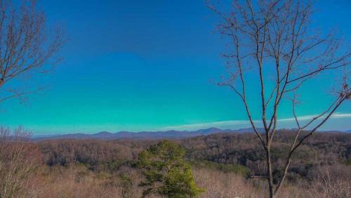 Blue Ridge Casa | EddieBear