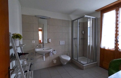 Wilderswil Hotel | Edelweiss Lodge