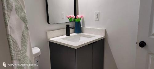 Miami Gardens Casa | Edercozy