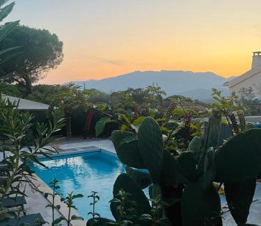 Porto-Vecchio Apartamento | Edith et Jean-Paul