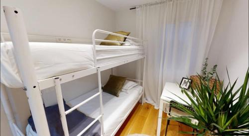 San Diego Apartamento | EdSam EUCALIPTO Madrid