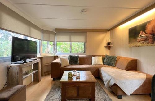 Hulshorst Chalet De Esquí | Eekhoorn