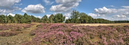 Garderen Apartamento | Een OASE op de Veluwe