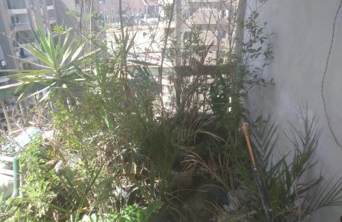 Monshat Nasr Apartamento | Egypt unique flat