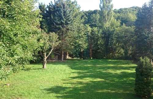 Hasenfeld Casa | Eifel - + fiesta con amigos de la familia: casa grande, terraza, maravillosa ubicación