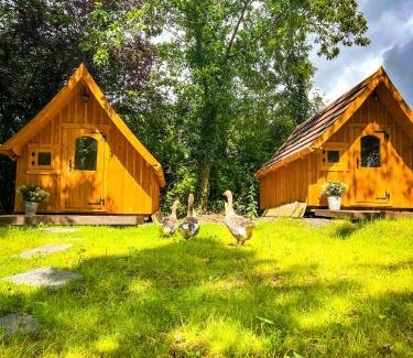 Ulmen Apartamento | Eifelhüttchen Blaumeise