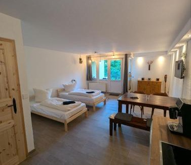 Sonnenberg Casa | Eigenes ruhiges Appartement mit Küche und Terasse Chemnitz