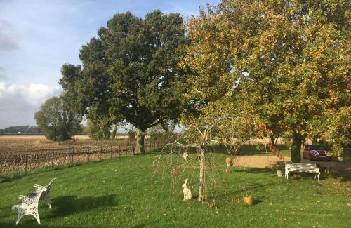East Dereham Casa | Eight ball house