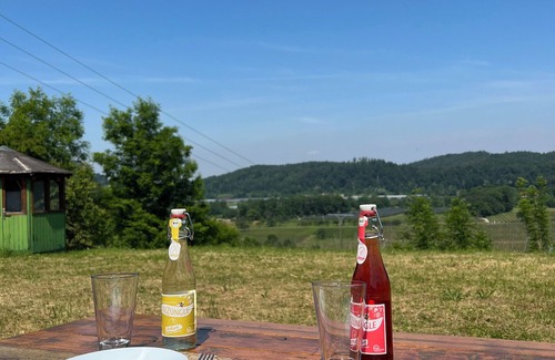 Tettnang Apartamento | Einzigartiger Panoramablick mit Terrasse Nähe Tettnang Bodensee und Messe