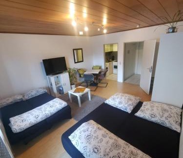 Mietersheim Apartamento | Einzimmerwohnungmit großem Balkon