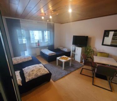 Mietersheim Apartamento | Einzimmerwohnungmit großem Balkon