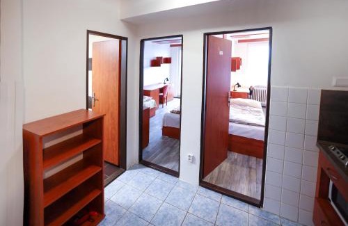 Prague 3 Hostal | Eislerova kolej Jarov
