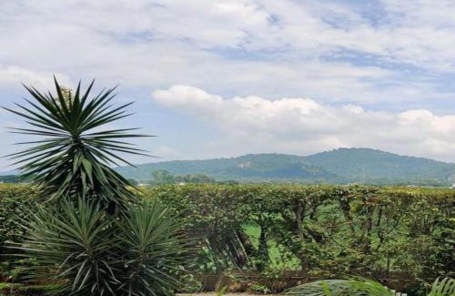 Dhela Apartamento | Eiyuu Hotels - Wildlife & Nature View