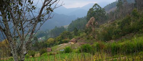 Periyur Otro | EKa Forest