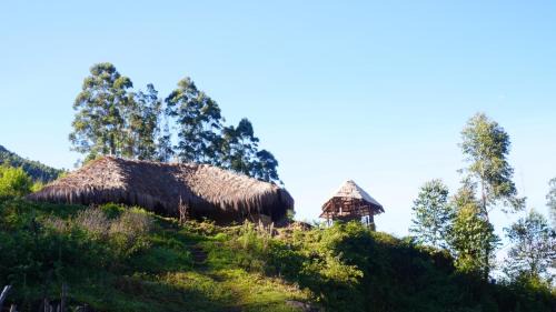 Periyur Otro | EKa Forest
