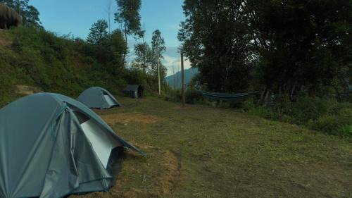 Periyur Otro | EKa Forest