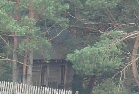 gmina Wizna Casa | Ekoterapia