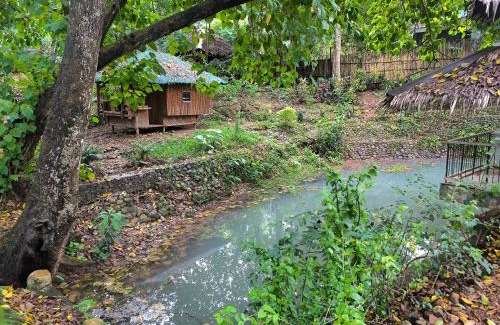 Coron Complejo | EL BOSQUE RESORT CORON