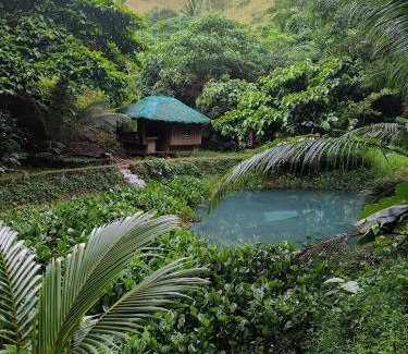 Coron Complejo | EL BOSQUE RESORT CORON