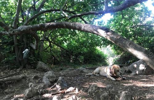 El Bosque Apartamento | El Bosque, tu entrada a la Sierra Gaditana.