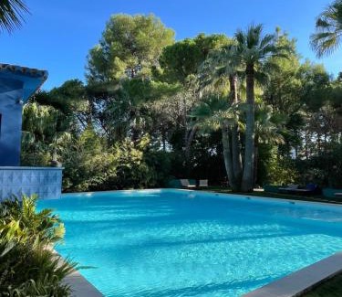 Sagra Casa | El botanico de Sagra