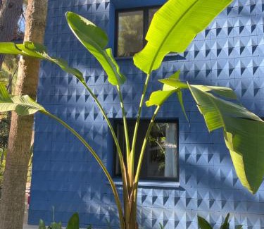 Sagra Casa | El botanico de Sagra