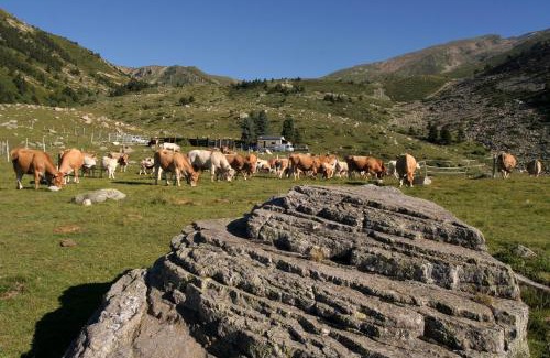 Prats-de-Mollo-la-Preste Casa | El Casal