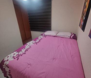Venustiano Carranza Apartamento | El depa de Natalia a min de aeropuerto y estadio GNP